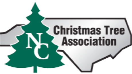 Group Banner Picture